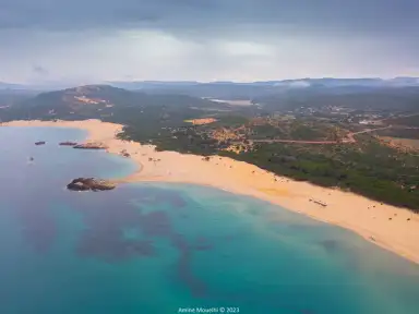 Bizerte