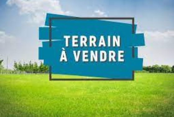 Acquistare un terreno a Nabeul – Guida completa 2025