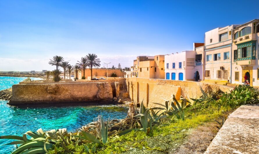 Complete Rental Guide in Tunisia 2025
