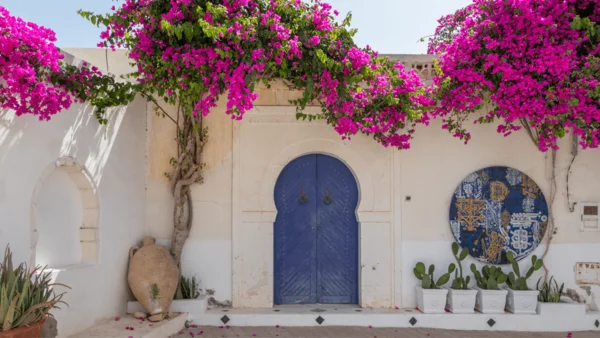Guide complet location en Tunisie 2025